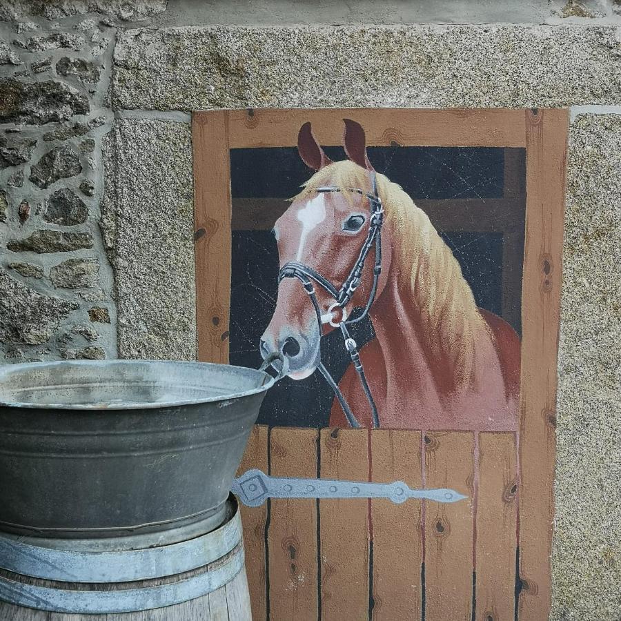 Ferienhof Plotzen Hochkirch Εξωτερικό φωτογραφία